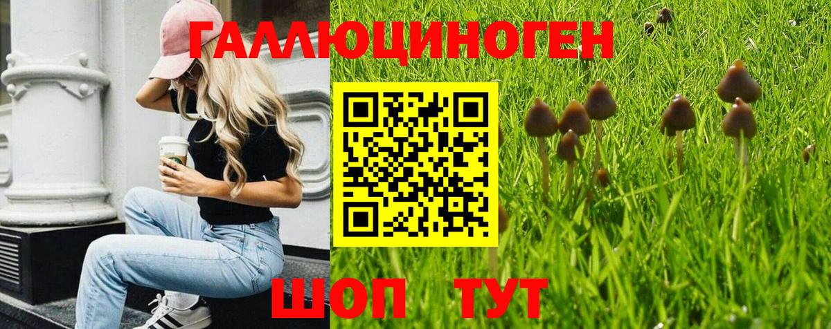 Спасск-Дальний  Галлюциногенные грибы Magic Shrooms  что такое   Вход с VPN 