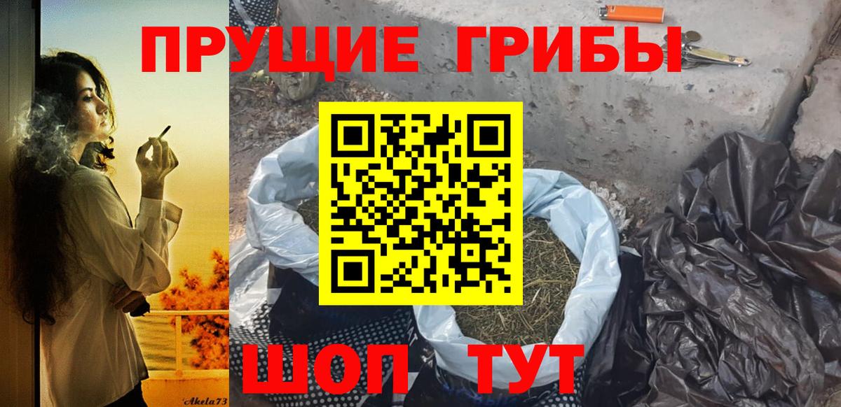 Галлюциногенные грибы Psilocybe Спасск-Дальний